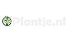 Plantje