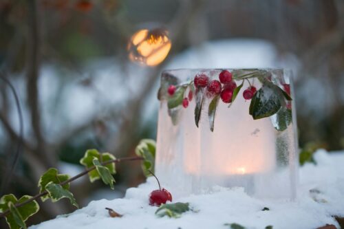 Wat te doen in de tuin in december