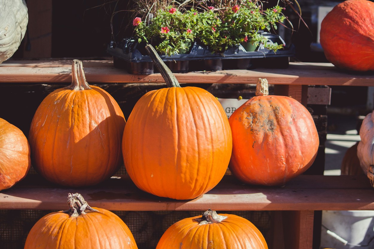 Wat te doen in de tuin in oktober